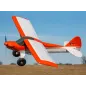 E-flite Carbon-Z Cub SS 2m PNP (MARK ON WING &FUZ)