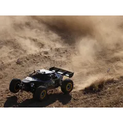 1/5 DBXL 2.0 4WD Gas Buggy RTR - ICON