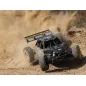 1/5 DBXL 2.0 4WD Gas Buggy RTR - ICON 1/5 DBXL 2.0 4WD Gas Buggy RTR - ICON