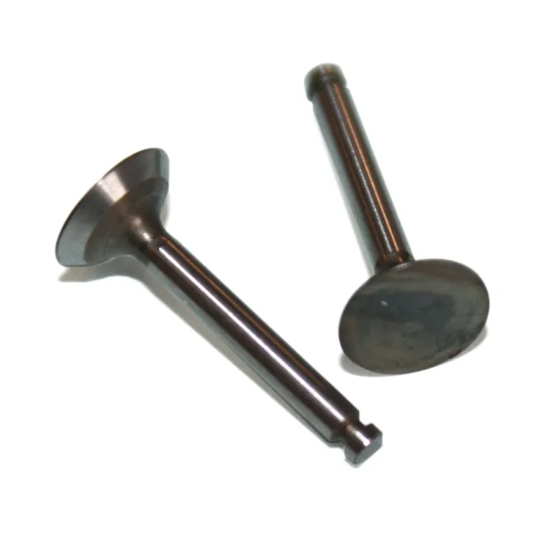 VALVE [IN & OUT PAIR]