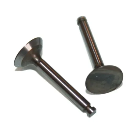 VALVE [IN & OUT PAIR]