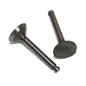 VALVE [IN & OUT PAIR]