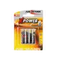 TAMIYA AAA 1.5v 1000mah Alkaline Batteries