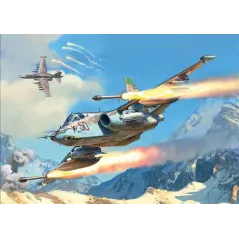 ZVEZDA SU-25 "Frogfoot"