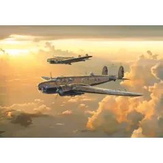 ITALERI Fiat BR.20 â€œCicognaâ€â€œBattle of Britain 80th anniversaryâ€