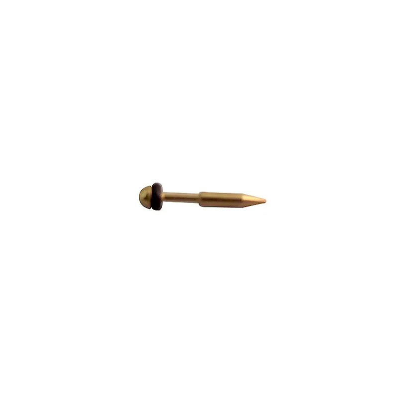 BADGER Plunger & O-Ring Model 100.150.155