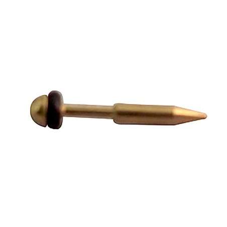 BADGER Plunger & O-Ring Model 100.150.155