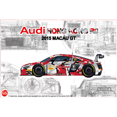 NUNU Audi R8 Lms Gt3 Gp Macau 2015 Fia-Gt