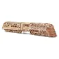 WOOD TRICK Atlantic express