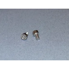 RACTIVE SS Socket Hd Screw M6 10mm Pk2 T-SCR01/10M6