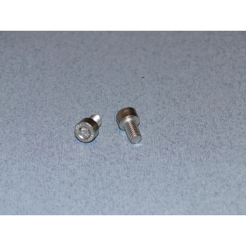RACTIVE SS Socket Hd Screw M6 10mm Pk2 T-SCR01/10M6