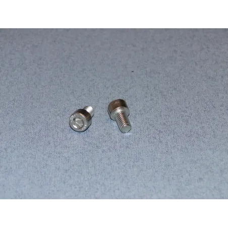 RACTIVE SS Socket Hd Screw M6 10mm Pk2 T-SCR01/10M6