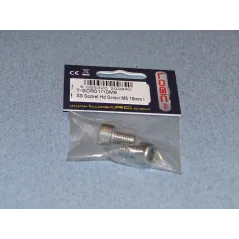 RACTIVE SS Socket Hd Screw M6 10mm Pk2 T-SCR01/10M6