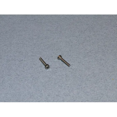 RACTIVE SS Socket Hd Screw M2.5 12mm Pk2 T-SCR01/12M2-5