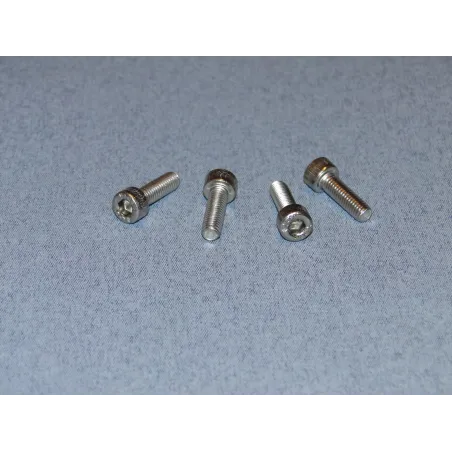 RACTIVE SS Socket Hd Screw M5 16mm Pk4 T-SCR01/16M5