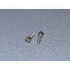 RACTIVE SS Socket Hd Screw M5 20mm Pk2 T-SCR01/20M5