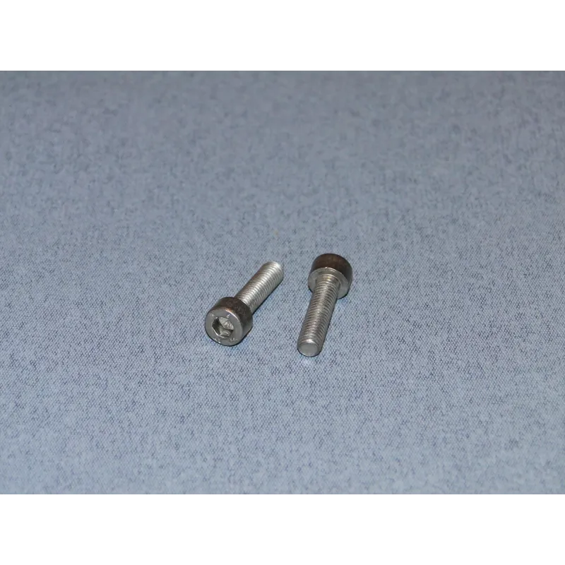 RACTIVE SS Socket Hd Screw M5 20mm Pk2 T-SCR01/20M5