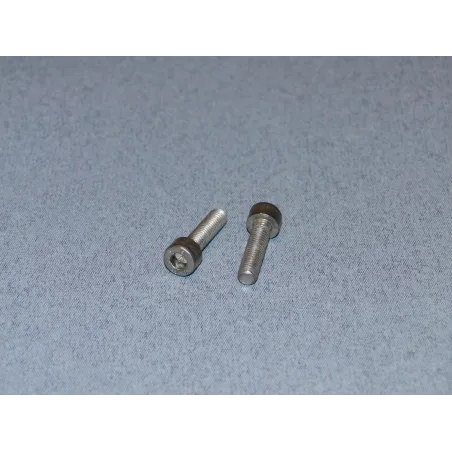 RACTIVE SS Socket Hd Screw M5 20mm Pk2 T-SCR01/20M5