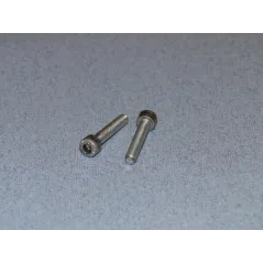 RACTIVE SS Socket Hd Screw M5 25mm Pk2 T-SCR01/25M5