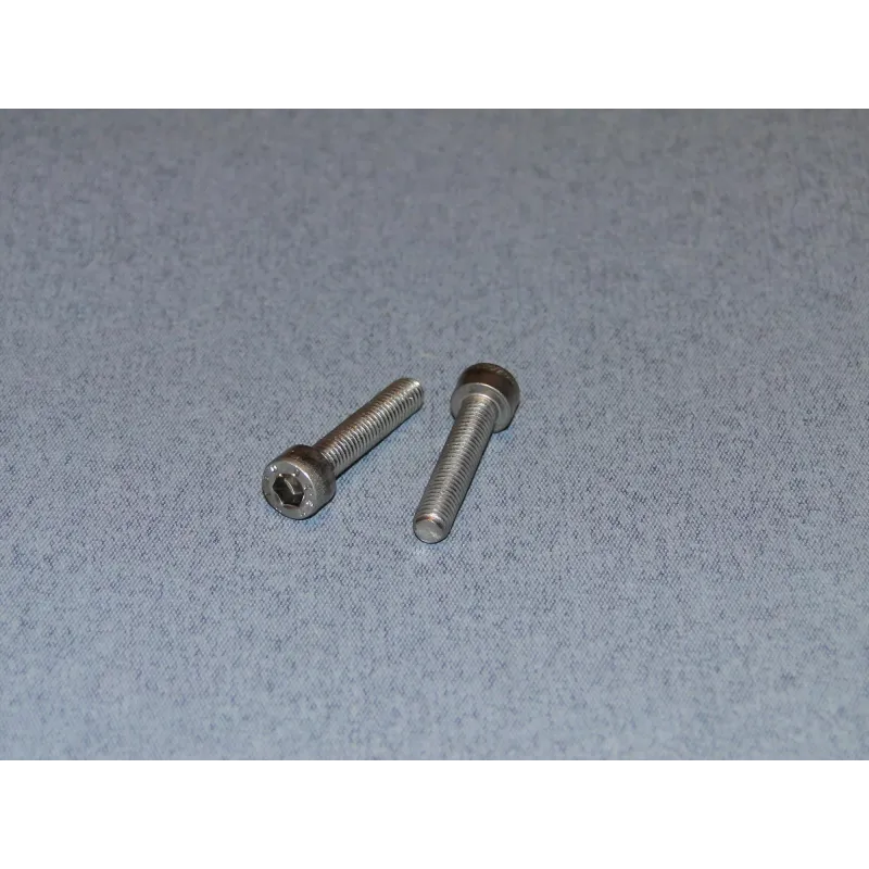 RACTIVE SS Socket Hd Screw M5 25mm Pk2 T-SCR01/25M5