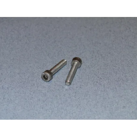 RACTIVE SS Socket Hd Screw M5 25mm Pk2 T-SCR01/25M5