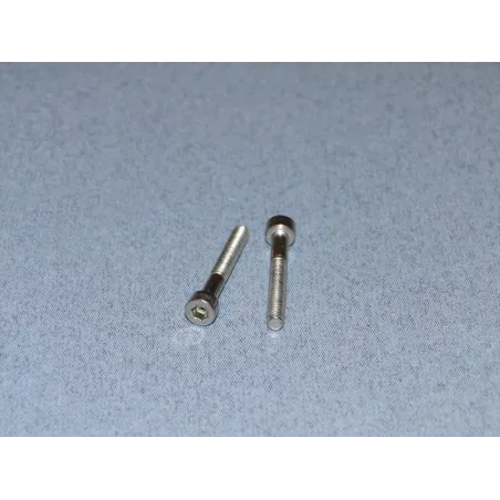 RACTIVE SS Socket Hd Screw M4 30mm Pk2 T-SCR01/30M4