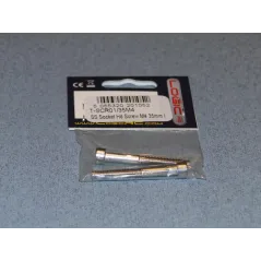 RACTIVE SS Socket Hd Screw M4 35mm Pk2 T-SCR01/35M4