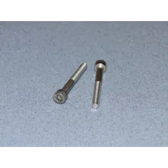 RACTIVE SS Socket Hd Screw M5 40mm Pk2 T-SCR01/40M5