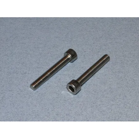 RACTIVE SS Socket Hd Screw M6 40mm Pk2 T-SCR01/40M6
