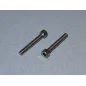 RACTIVE SS Socket Hd Screw M6 40mm Pk2 T-SCR01/40M6