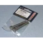 RACTIVE SS Socket Hd Screw M6 40mm Pk2 T-SCR01/40M6