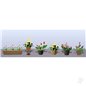 JTT Assorted Potted Flower Plants 3, HO-Scale, (6pack)