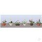 JTT Assorted Potted Flower Plants 3, O-Scale, (6 pack)