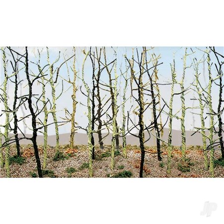 JTT Woods Edge Trees, Bare Green, N-Scale, (20 per pack)
