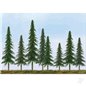 JTT Econo Spruce, 2in to 4in, N-Scale, (36 per pack)