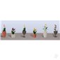 JTT Assorted Potted Flower Plants 4, O-Scale, (6 pack)