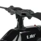 ESKY 300 V2 RTF Fixed Pitch Flybarless Helicopter, Mode 2