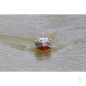 The Wooden Model Boat Company PT-109 Patrol Torpedo Boat Kit 400mm