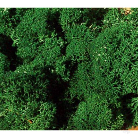 Heki 3220 Large Lichen Dark Green