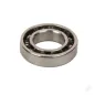 SH TE1216 Rear Bearing (15)