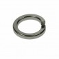 M10 Spring Washer pack of 8 