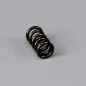 Force AS1220 Barrel Stop Screw Spring
