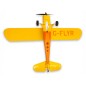 Champ Anniversary Special Edition 515mm RTF with SAFE Champ Anniversary Special Edition 515mm RTF with SAFE