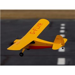 Champ Anniversary Special Edition 515mm BNF Basic with SAFE