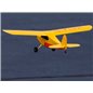 Champ Anniversary Special Edition 515mm BNF Basic with SAFE Champ Anniversary Special Edition 515mm BNF Basic with SAFE