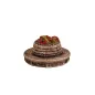 HARBURN HOBBIES Circular Seat Unit OO Gauge SS330