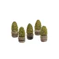 HARBURN HOBBIES Five Small Trees in Half Barrels(Discontinued) OO Gauge SS311
