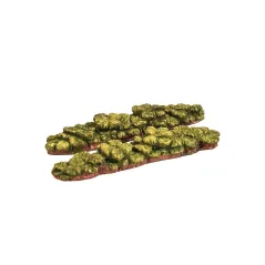 HARBURN HOBBIES Vegetable Rows - Rhubarb OO Gauge CG283