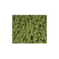 Peco 1mm Spring Grass All Gauges PSG-101