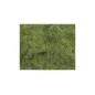 Peco 2mm Summer Grass All Gauges PSG-222